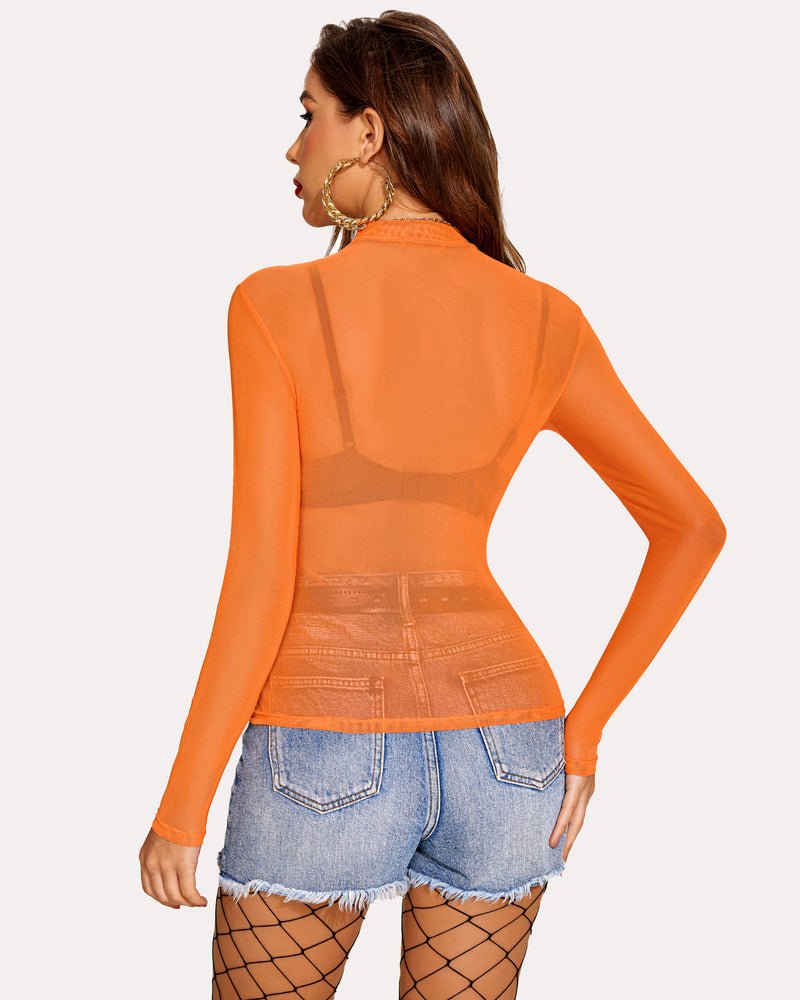 Leopard Sheer Long Sleeve Mock Neck Mesh Crop Top - Cinderella