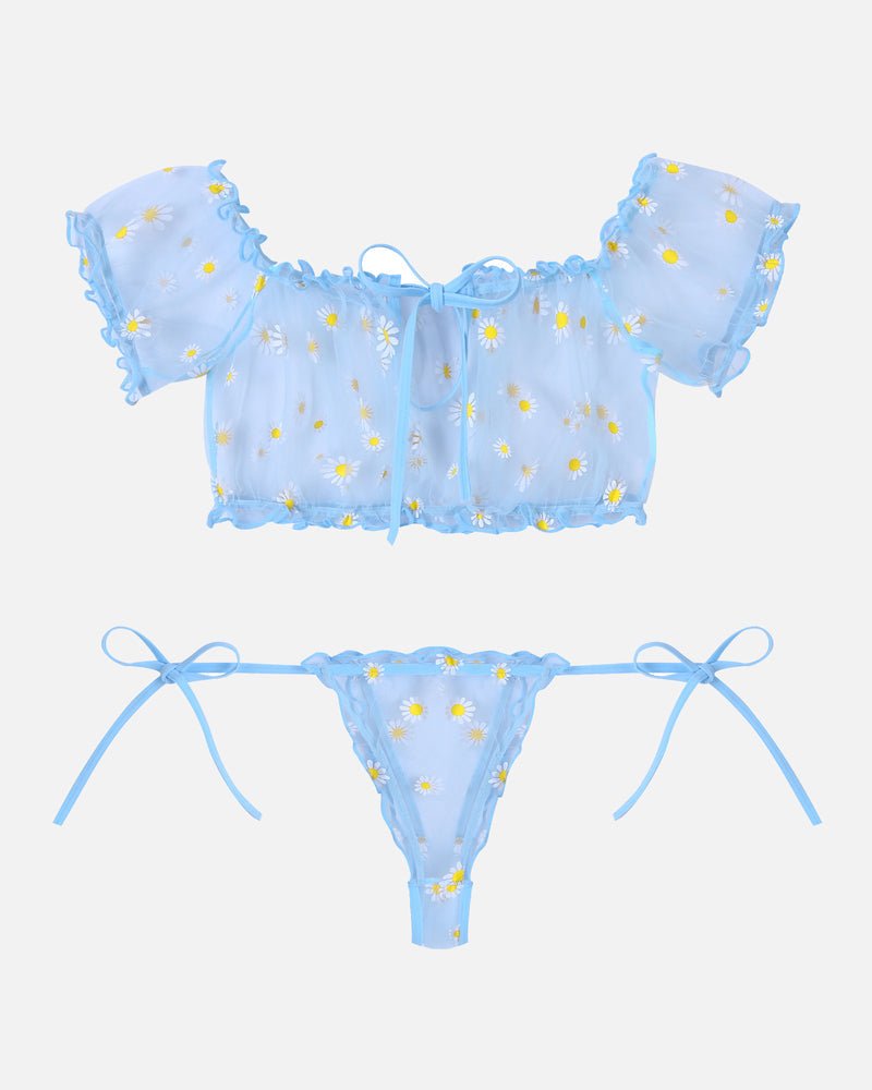 Mesh Butterfly Bra and Panty Set - Cinderella