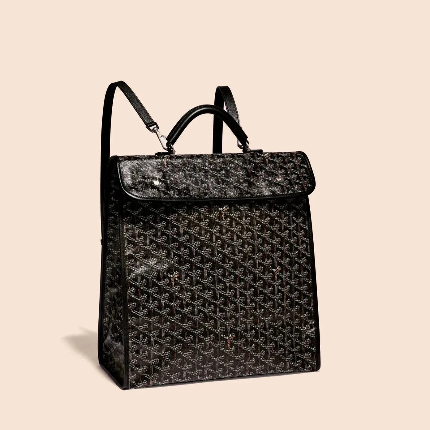 Montclair Urban Pack - Cinderella