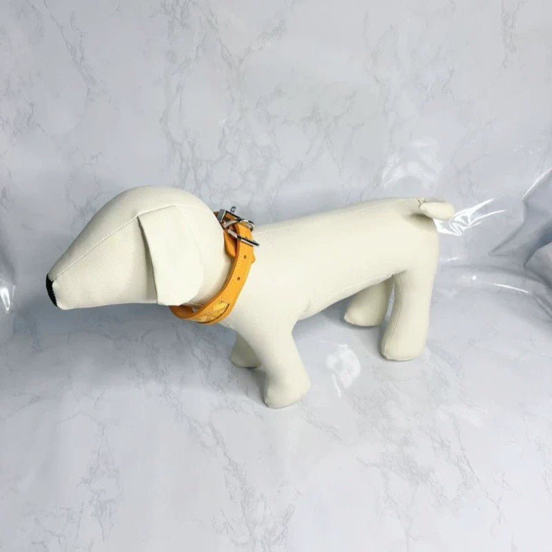 The Aristopet Collar - Cinderella