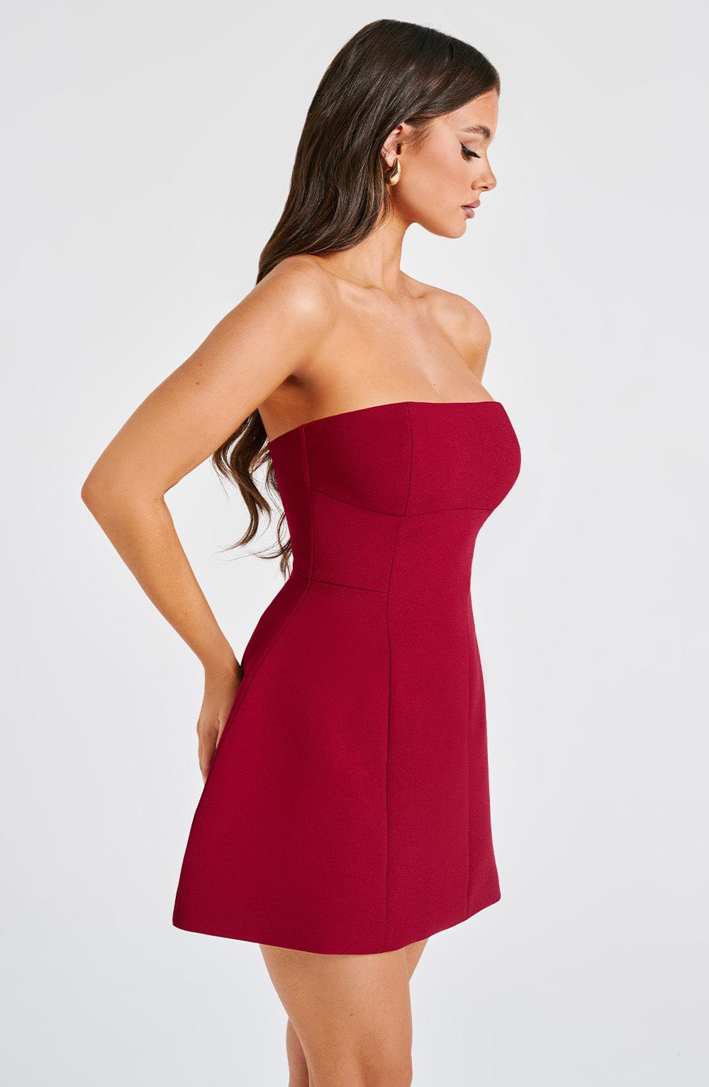 Asha Mini Dress - Wine - Cinderella