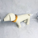 The Aristopet Collar - Cinderella